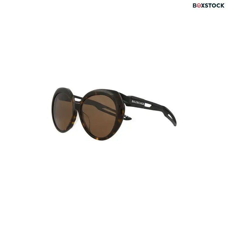 Balenciaga Round Sunglasses 'Havana/Black/Brown' Fall/Winter 2023