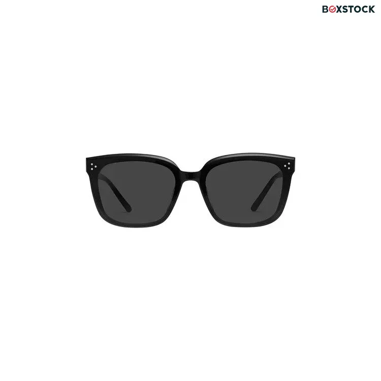 Gentle Monster Dear 01 Sunglasses 'Black' Spring/Summer 2024