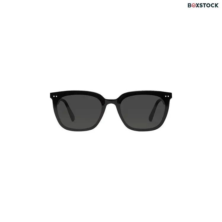 Gentle Monster Heizer 01 Sunglasses 'Black' Spring/Summer 2023