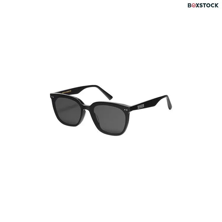 Gentle Monster Heizer 01 Sunglasses 'Black' Spring/Summer 2023