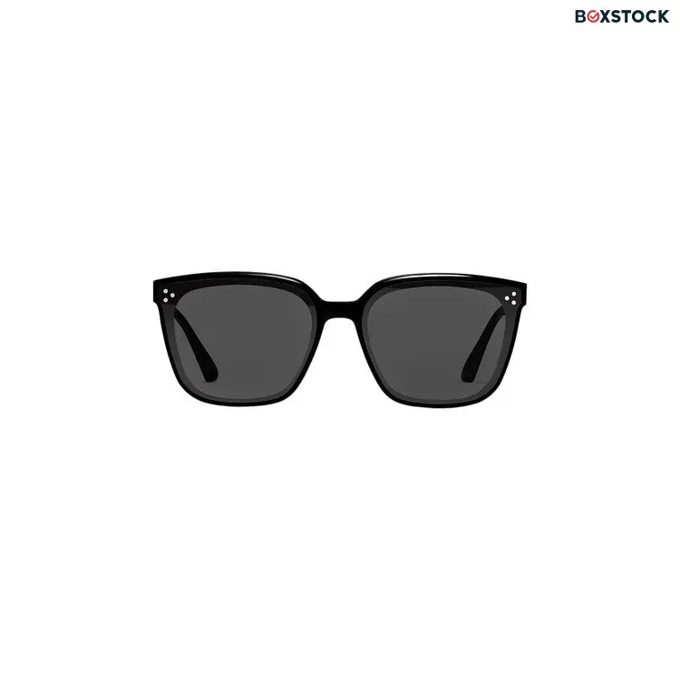 Gentle Monster Palette 01 Small Sunglasses 'Black' Spring/Summer 2024