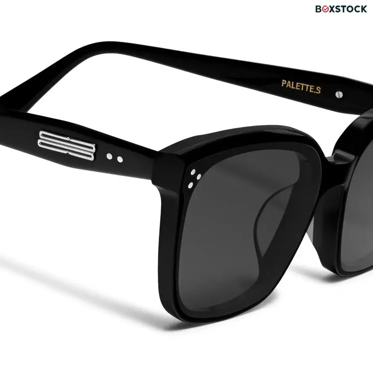 Gentle Monster Palette 01 Small Sunglasses 'Black' Spring/Summer 2024