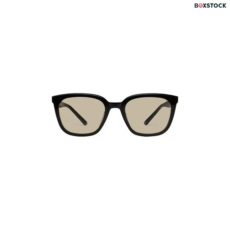 Gentle Monster Pino 01 Br Sunglasses 'Black' Spring/Summer 2024