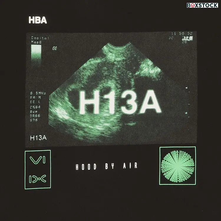 Hood By Air Hooded Sweatshirt 'Black' Fall/Winter 2020