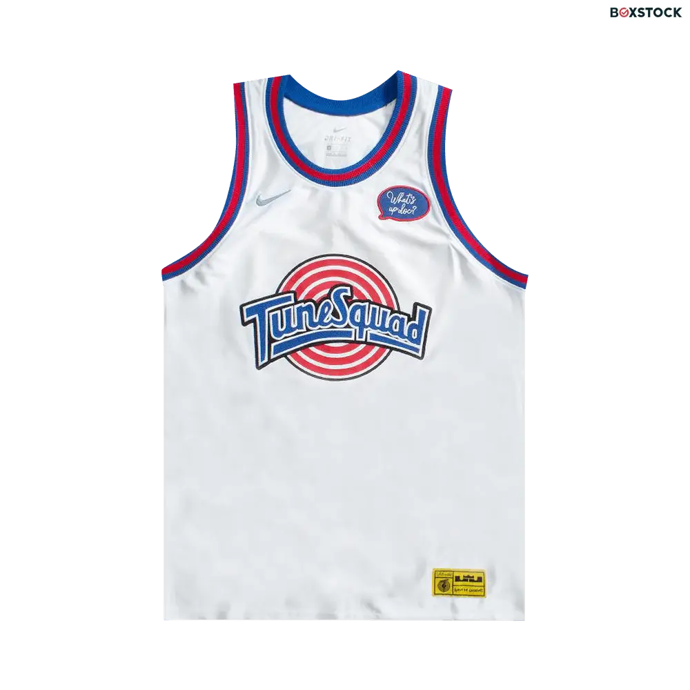 Nike LeBron x Tune Squad DNA Jersey 'White/Cool Grey'