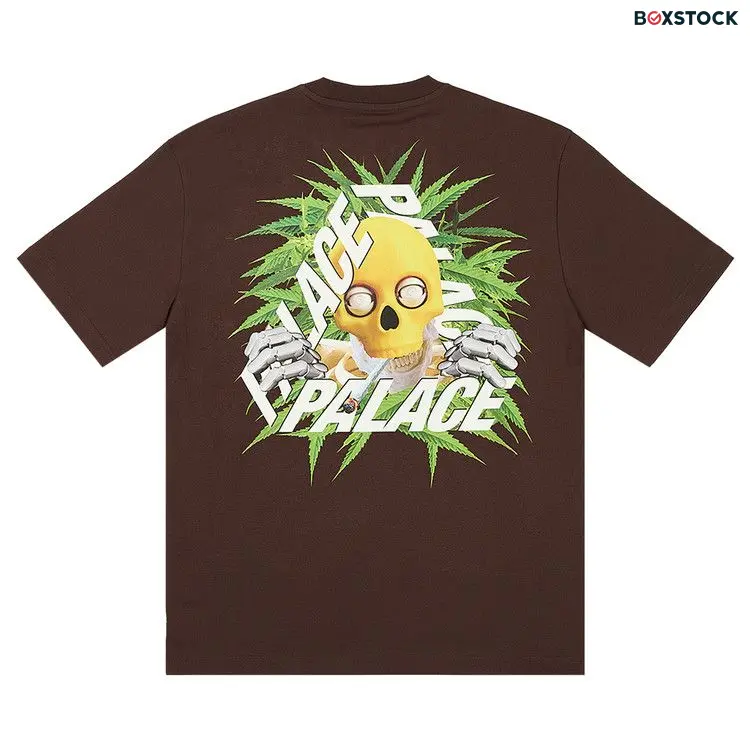 Palace Baked P-3 T-Shirt 'Nice Brown' Spring/Summer 2024