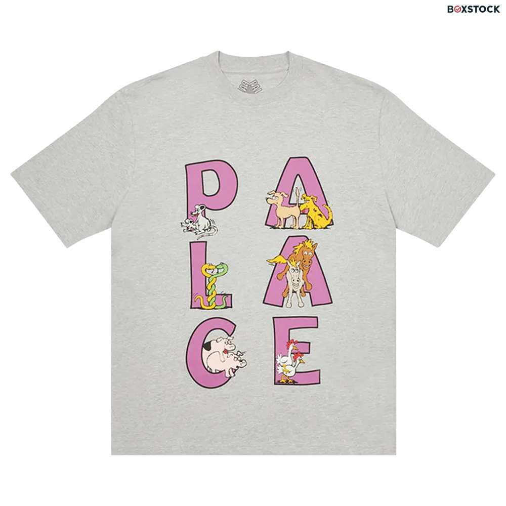 Palace Session T-Shirt 'Grey Marl' Fall/Winter 2022