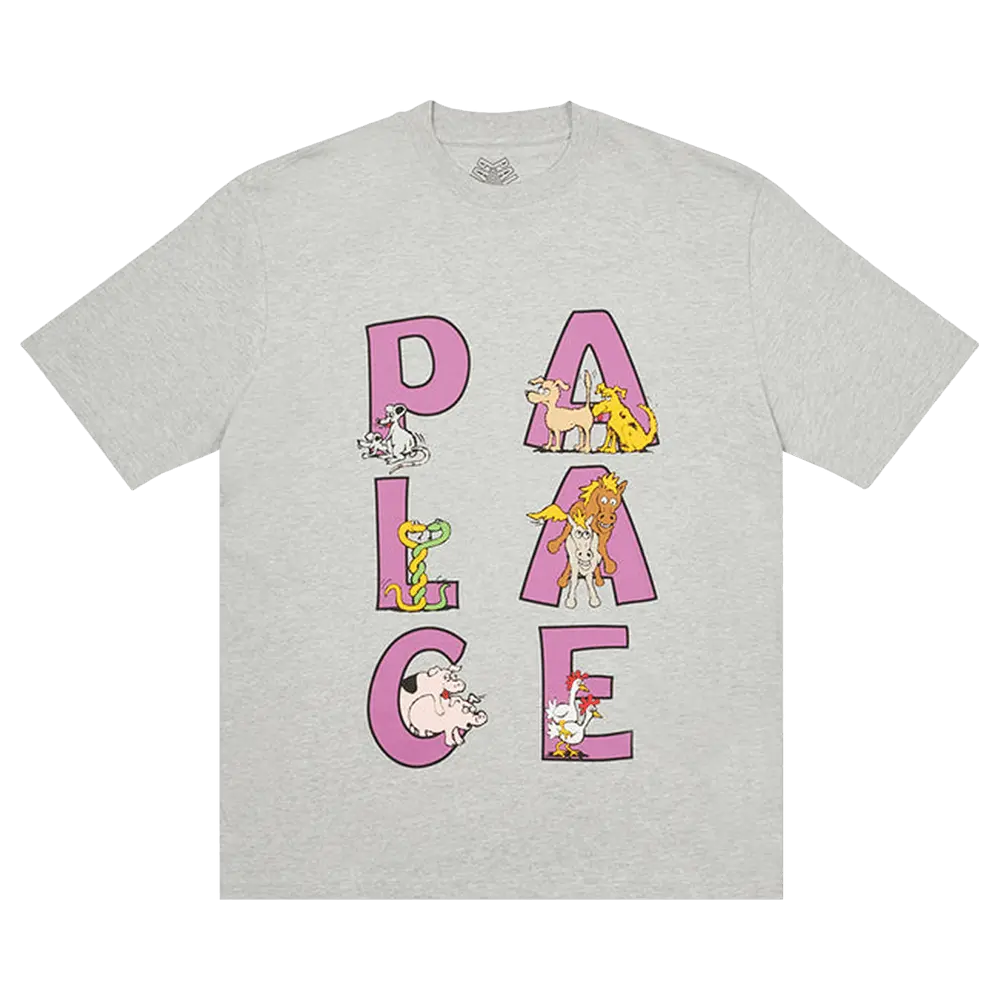 Palace Session T-Shirt 'Grey Marl' Fall/Winter 2022