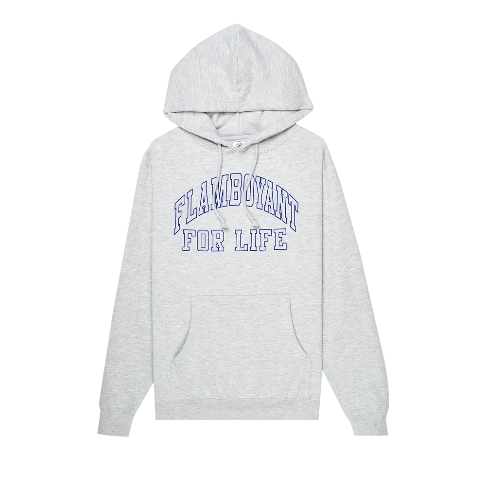 Pleasures Flamboyant Hoodie 'Grey' Fall/Winter 2022