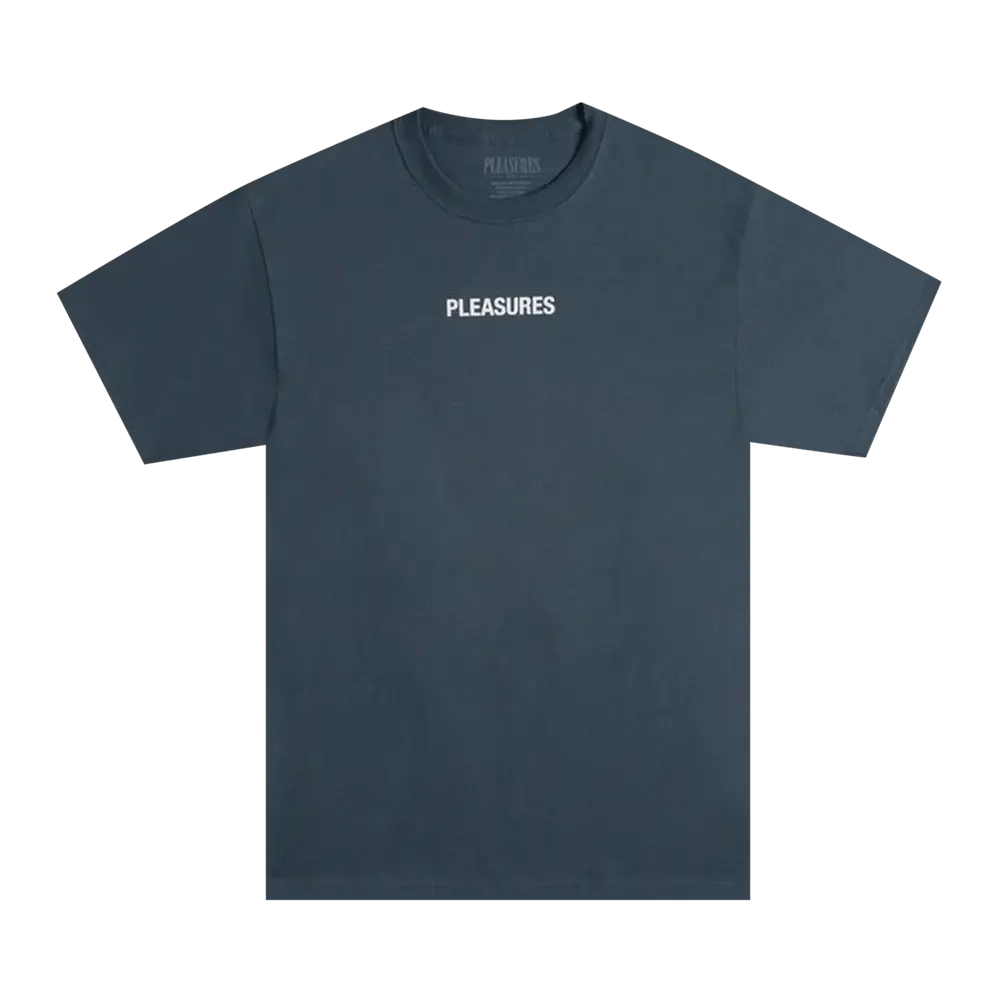 Pleasures Flying T-Shirt 'Slate' Blue