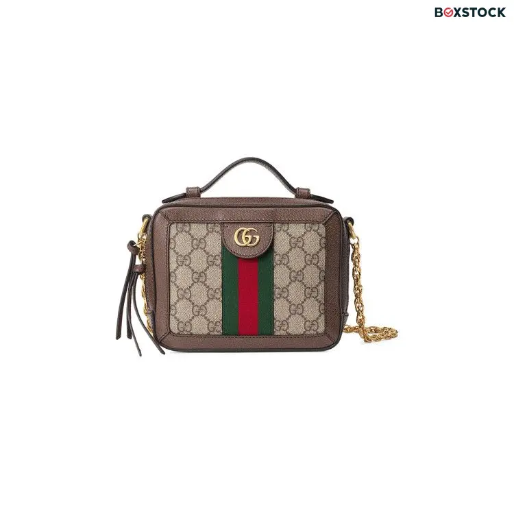 Gucci Handbag 'Brown' Spring/Summer 2020 602576-K05NB-8745