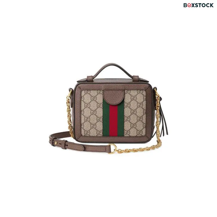 Gucci Handbag 'Brown' Spring/Summer 2020 602576-K05NB-8745