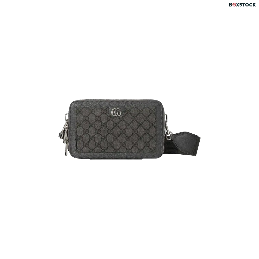 Gucci Ophidia GG Mini Bag 'Grey' Spring/Summer 2024