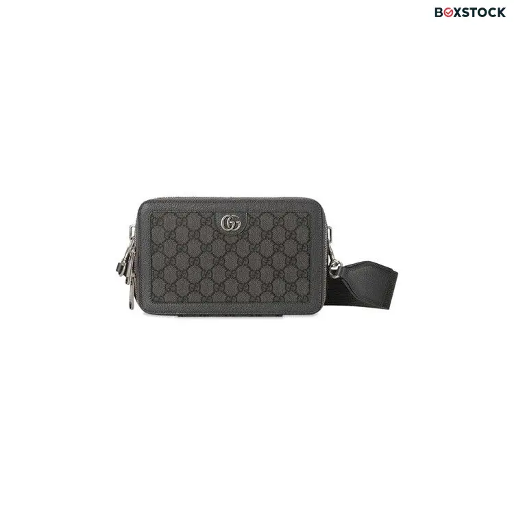 Gucci Ophidia GG Mini Bag 'Grey' Spring/Summer 2024