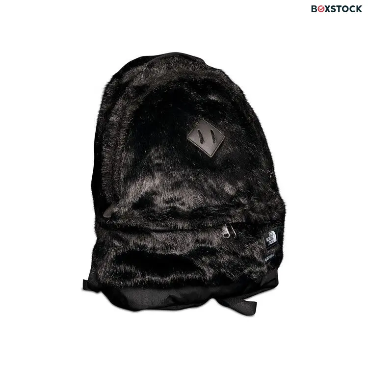 Supreme x The North Face Faux Fur Backpack 'Black' Fall/Winter 2020