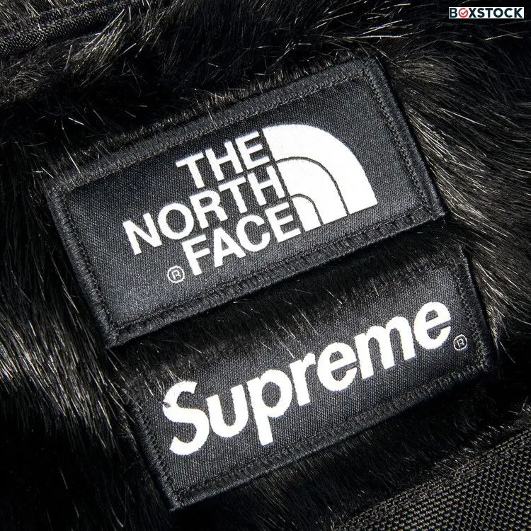 Supreme x The North Face Faux Fur Backpack 'Black' Fall/Winter 2020