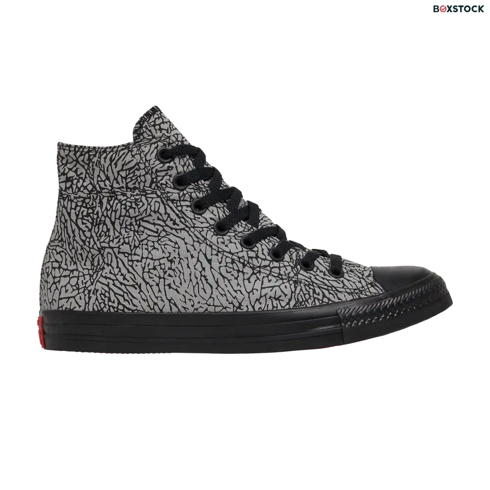converse Converse Chuck Taylor All Star Shoe Palace Elephant Print