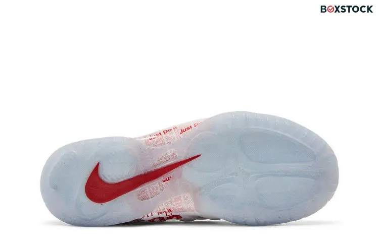 Nike Air Foamposite One Takeout Bag (PS)