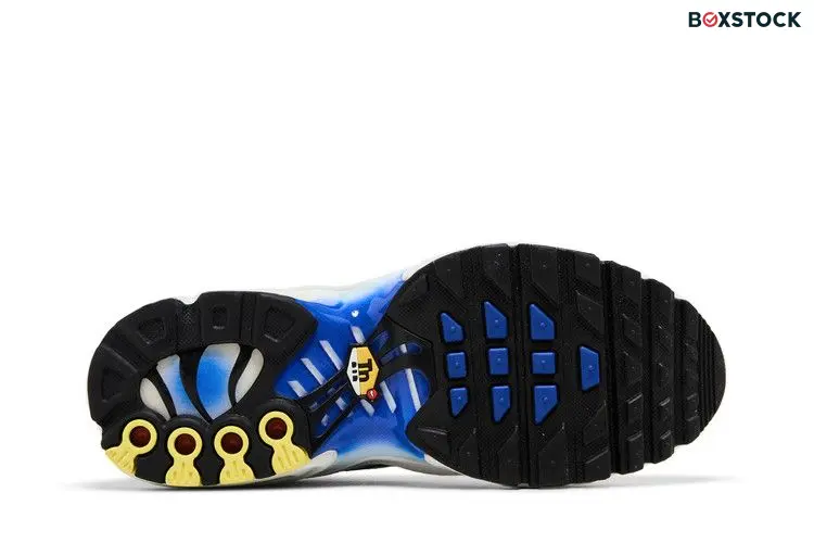 Nike Air Max Plus Light Smoke Grey Blue Lightning Racer Blue Black (GS)