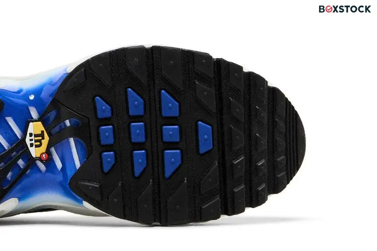 Nike Air Max Plus Light Smoke Grey Blue Lightning Racer Blue Black (GS)