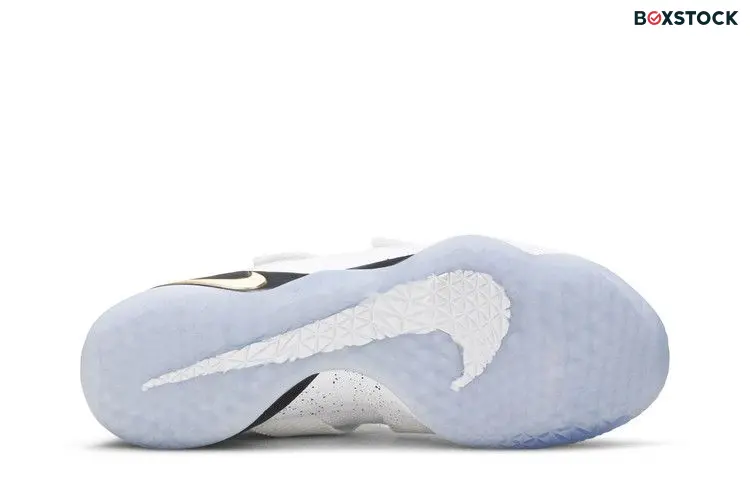 Nike LeBron Zoom Soldier 11 Court General